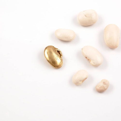 跨界藝術之旅 RCA珠寶創意思維暑期課程，釋放你的設計潛能